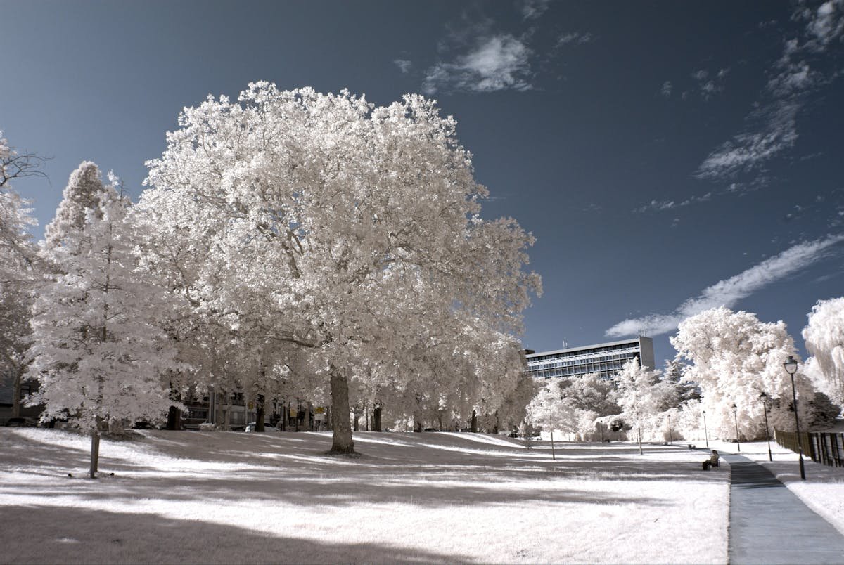 Negative luminescence infrared data transfer covert channel concept